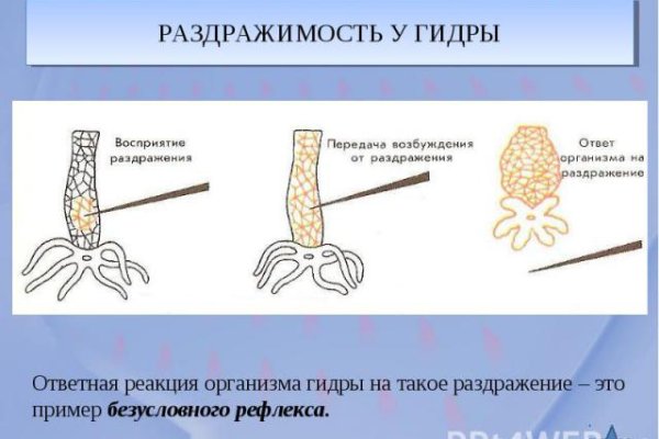 Зайти на сайт кракен