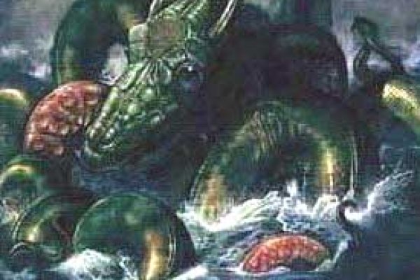 Кракен даркнет kraken link24 info