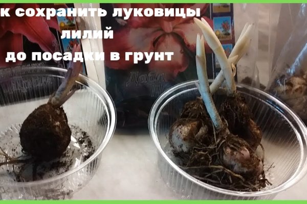 Кракен онион ссылка на тор