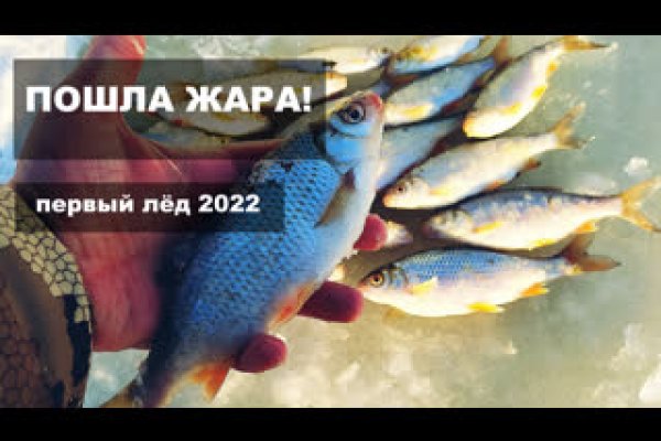 Кракен не работает сегодня