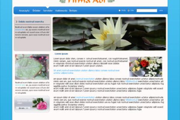 Ссылка на кракен не работает