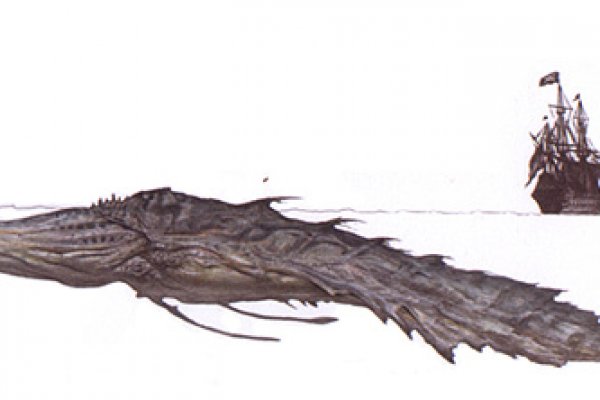 Kraken kraken dark link