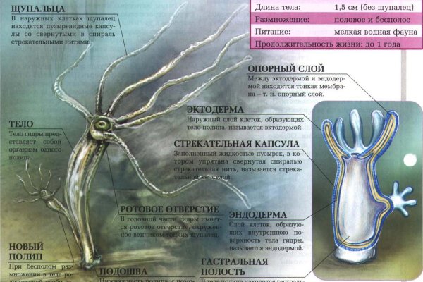 Кракен маркет darknet